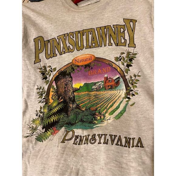 Vintage PUNXSUTAWNEY PENNSYLVANIA Tshirt Med one Stitch shirt - Picture 4 of 7